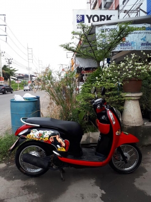 All New Scoopy i รุ่นใหม่ ปลายปี 2555 สีแดงดำ รถสวย ราคาชิวๆถูกๆ All New Scoopy i รุ่นใหม่ ปลายปี 2555 สีแดงดำ รถสวย ราคาชิวๆถูกๆ