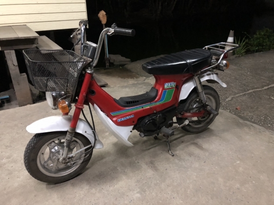 HONDA CHALY 50 CC. เครื่องดี แปลงเป็น Cdi แล้ว รถมี 3 เกียร์สภาพภายนอกแห้งๆ ดูรถที่แถวศูนย์รถเบนซ์นค