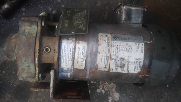 ขายปั๊มน้ำ franklin 2hp