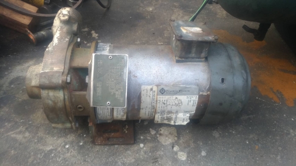 ขายปั๊มน้ำ franklin 2hp