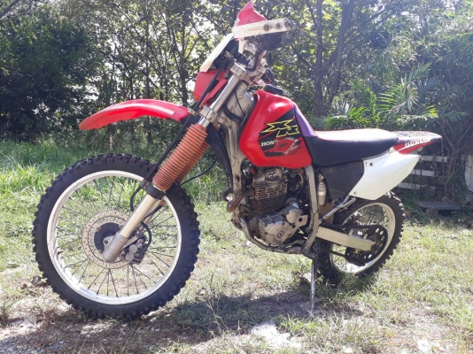 honda xr250 2001 honda xr250 2001