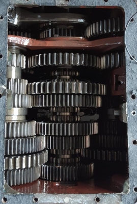 อีตั้นไดส์ อีตั้นไดส์