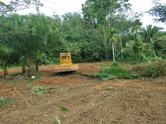 มี VDO ให้ชม.KOMATSU D31P-ู16 เกียร์ท๊อก สไลด์ใบมีด 6 ทิศทาง ราคา 350000