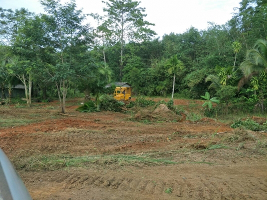 มี VDO ให้ชม.KOMATSU D31P-16 เกียร์ท๊อก สไลด์ใบมีด 6 ทิศทาง ราคา 350000