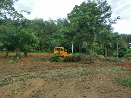 มี VDO ให้ชม.KOMATSU D31P-16 เกียร์ท๊อก สไลด์ใบมีด 6 ทิศทาง ราคา 350000