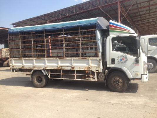 ขายด่วน 6 ล้อ ISUZU NPR 150 แรง ปี 55 สภาพพร้อมใช้ ขายด่วน 6 ล้อ ISUZU NPR 150 แรง ปี 55 สภาพพร้อมใช้