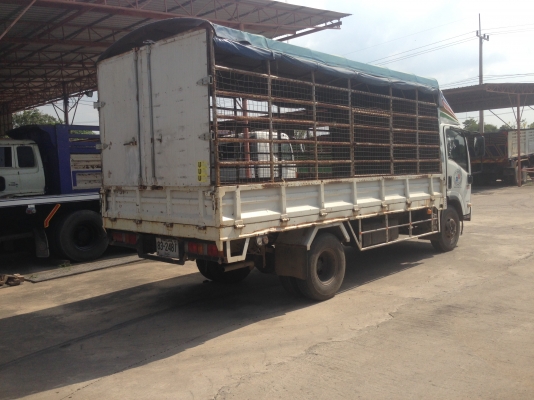 ขายด่วน 6 ล้อ ISUZU NPR 150 แรง ปี 55 สภาพพร้อมใช้ ขายด่วน 6 ล้อ ISUZU NPR 150 แรง ปี 55 สภาพพร้อมใช้