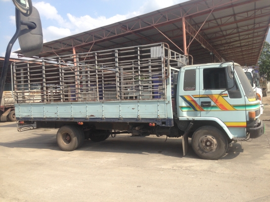 ขายด่วน 6 ล้อ ISUZU FRR 175 แรง ปี 38 สภาพพร้อมใช้ ขายด่วน 6 ล้อ ISUZU FRR 175 แรง ปี 38 สภาพพร้อมใช้