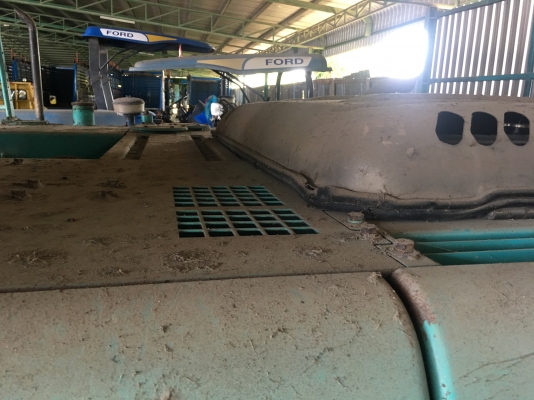 KOBELCO SK200-6 YN09 Super รถใช้ในโรงงานน้ำตาล รถตักกากอ้อย  สภาพดี พร้อมใช้งาน ราคา