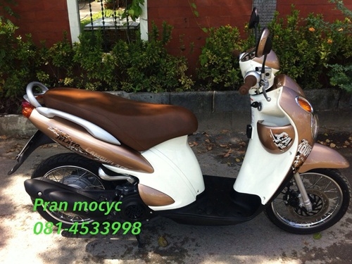 ขายjelato สีน้ำตาลทอง ปี2555