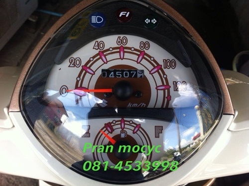 ขายjelato สีน้ำตาลทอง ปี2555