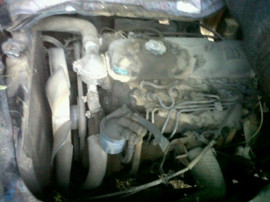 ขายดั้มเล็กราคาประหยัด