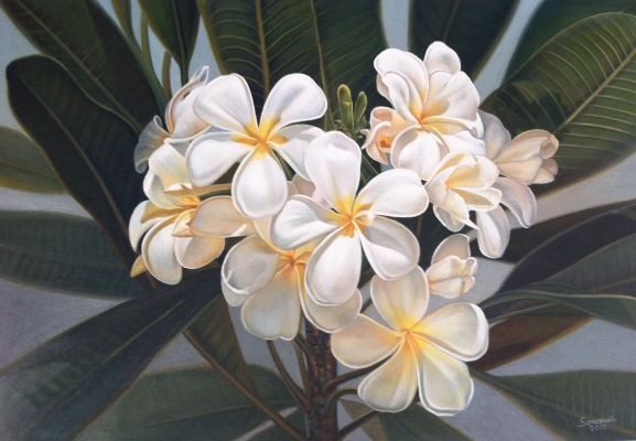 ภาพเขียน