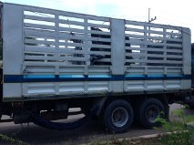 ขายด่วน สิบล้อพ่วง แม่-ลูก