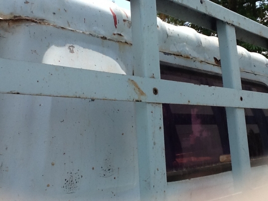 ขายด่วนหัว NPRกำลังยกยง ขายด่วนหัว NPRกำลังยกยง