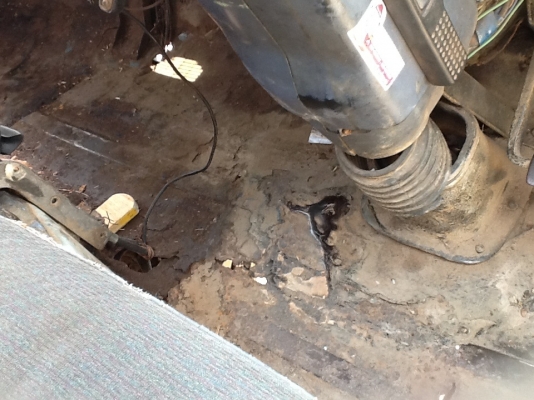 ขายด่วนหัว NPRกำลังยกยง ขายด่วนหัว NPRกำลังยกยง