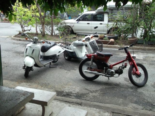 ขาย honda bobber custom
