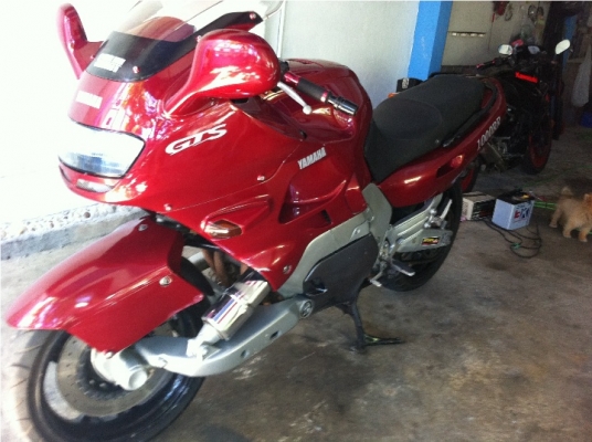 YAMAHA GTS 1000 YAMAHA GTS 1000