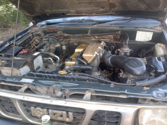 ขายมังกรทอง  ตอนเดียว  สภาพเดิมดีไม่มีชน