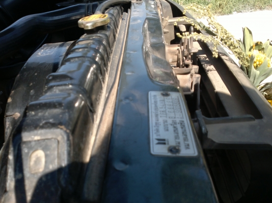 ขายมังกรทอง  ตอนเดียว  สภาพเดิมดีไม่มีชน