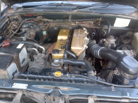 ขายมังกรทอง  ตอนเดียว  สภาพเดิมดีไม่มีชน