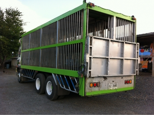 รถสิบล้อบรรทุกหมู 2 ชั้น  มิซซู 195 เครื่อง 6D16 สภาพพร้อมใช้