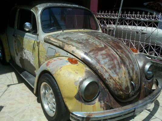 ขายเต่าทางไกลได้สะบาย ขายเต่าทางไกลได้สะบาย