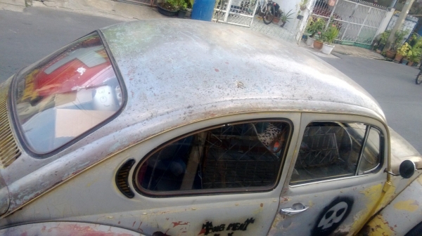 ขายเต่าทางไกลได้สะบาย ขายเต่าทางไกลได้สะบาย