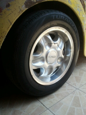 ขายเต่าทางไกลได้สะบาย ขายเต่าทางไกลได้สะบาย