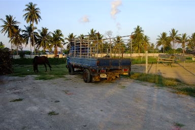 ขายโตโยต้า 115 แรง เอกสานพร้อมโอน