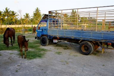 ขายโตโยต้า 115 แรง เอกสานพร้อมโอน