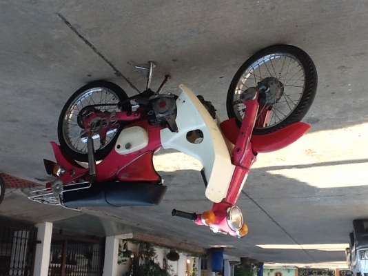 ----- C50 ถังแยก แฮนตรง ราคาถูก ด่วนๆเลย -----