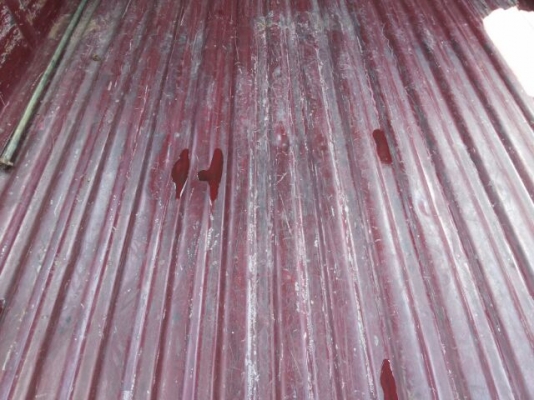 ขายด่วน THUNDER CAB มังกรดำ 2500 cc สวยเดิม วิ่งน้อย พร้อมใช้