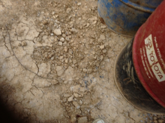 ขายตู้คอนเทรนเนอร์