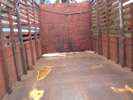 รถอิซูซุ 10 ล้อ รั่ว FVZ 175 แรงม้า  สนใจติดต่อ 081 - 6079515