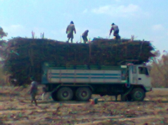 ขายสิบล้อสองเพลาดั้มกะบะเนียม จัมโบ้200