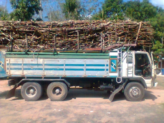 ขายสิบล้อสองเพลาดั้มกะบะเนียม จัมโบ้200