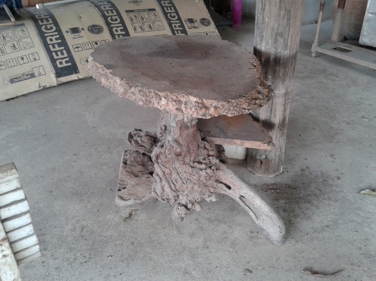 โต๊ะ รากไม้  ปุ๋มไม้ มะค่า ความเก่าไม่ต่ำกว่า 200 ปี