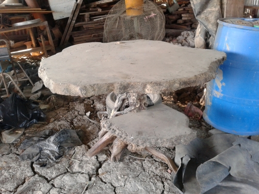 โต๊ะ รากไม้  ปุ๋มไม้ มะค่า ความเก่าไม่ต่ำกว่า 200 ปี