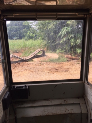 #ขายหัวเก๋งเก่านอก   ใส่รถขุด : KOBELCO SK024 ,SK027 ,SK032 ,SK042            ????ราคา. 45,000 บาท???? ☎️ สนใจติดต่อ. 096-3268553 (สถิตย์พันธ์) ???? ID LINE : 0963268553 ร้านรุ่งเจริญแทรกเตอร์. อำเภอพระพุทธบาท. จังหวัดสระบุรี