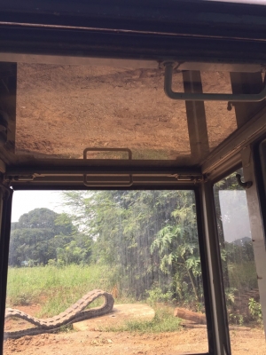 #ขายหัวเก๋งเก่านอก   ใส่รถขุด : KOBELCO SK024 ,SK027 ,SK032 ,SK042            ????ราคา. 45,000 บาท???? ☎️ สนใจติดต่อ. 096-3268553 (สถิตย์พันธ์) ???? ID LINE : 0963268553 ร้านรุ่งเจริญแทรกเตอร์. อำเภอพระพุทธบาท. จังหวัดสระบุรี