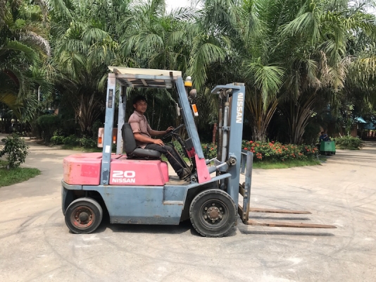 ขายFORKLIFT NISSAN FG20 สุดสวย(2ตัน) เสา3เมตร สวยเดิมจากญี่ปุ่น ยังไม่เคยใช้ในไทย 125,000เท่านั้น!!