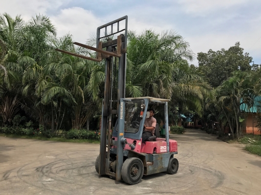 ขายFORKLIFT NISSAN FG20 สุดสวย(2ตัน) เสา3เมตร สวยเดิมจากญี่ปุ่น ยังไม่เคยใช้ในไทย 125,000เท่านั้น!!