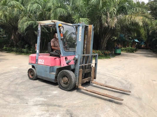 ขายFORKLIFT NISSAN FG20 สุดสวย(2ตัน) เสา3เมตร สวยเดิมจากญี่ปุ่น ยังไม่เคยใช้ในไทย 125,000เท่านั้น!!