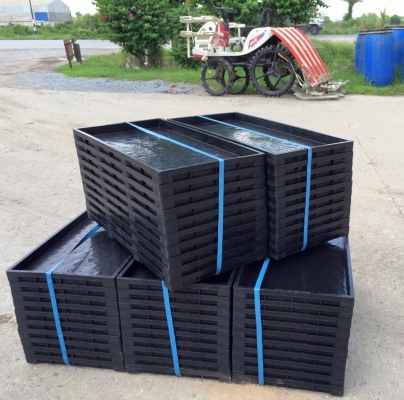 ถาดเพาะกล้าข้าว นาดำ ขนาด30x60cm.