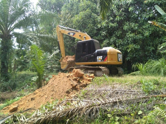 ขายดาวน์รถแบคโฮ CAT 313 D2 ขายดาวน์ 550000