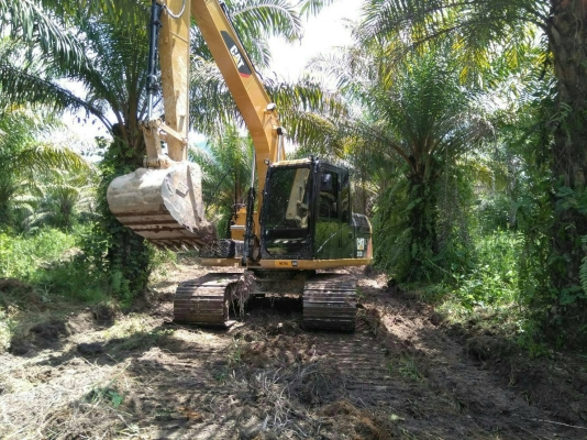 ขายดาวน์รถแบคโฮ CAT 313 D2 ขายดาวน์ 550000 ขายดาวน์รถแบคโฮ CAT 313 D2 ขายดาวน์ 550000