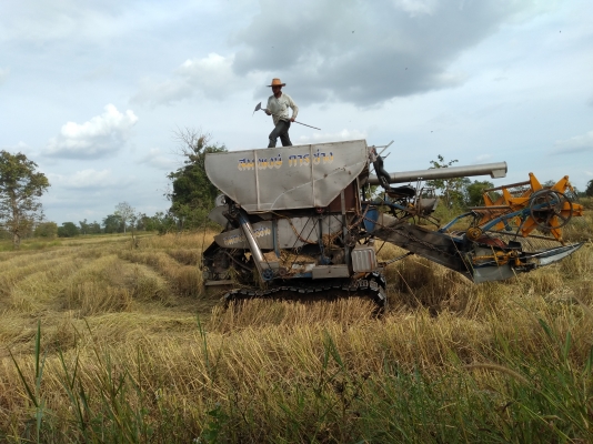 รถเกี่ยวข้าว ติดต่อ0611342039