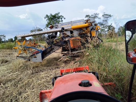 รถเกี่ยวข้าว ติดต่อ0611342039