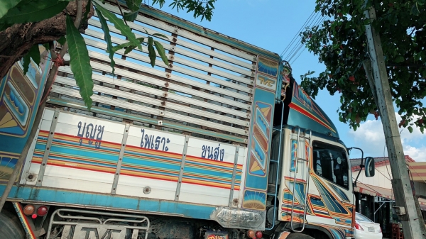 ขาย hino 260ปี 48 แม่ลูกพร้อมใช้ ขาย hino 260ปี 48 แม่ลูกพร้อมใช้